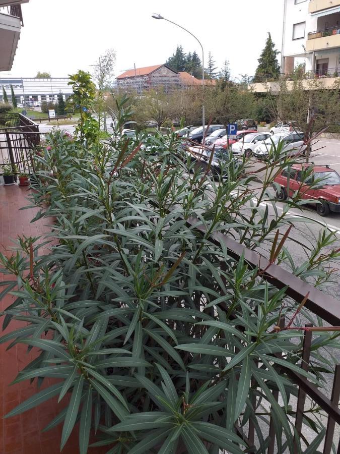 Sesto Calende Centro Daire Dış mekan fotoğraf